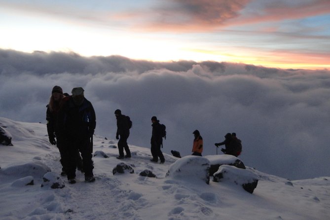 Kilimanjaro Summit Challenge: 6 Days via Marangu Route - Day 2: Horombo Hut, moorland breathing room, and the first big views