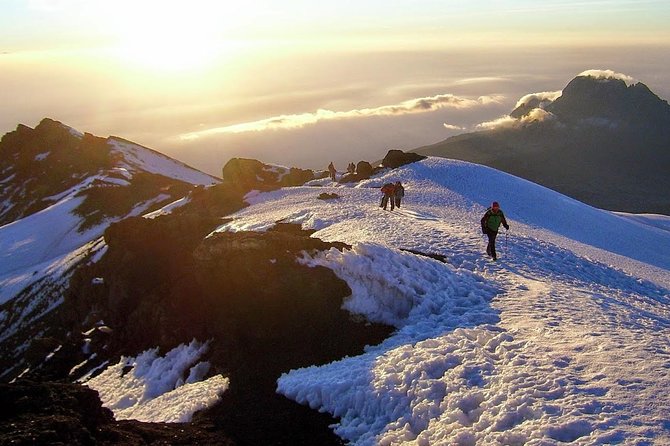 Kilimanjaro Summit Challenge: 6 Days via Marangu Route - Day 6: Descent through moorlands and rainforest back to Moshi, plus summit certificates