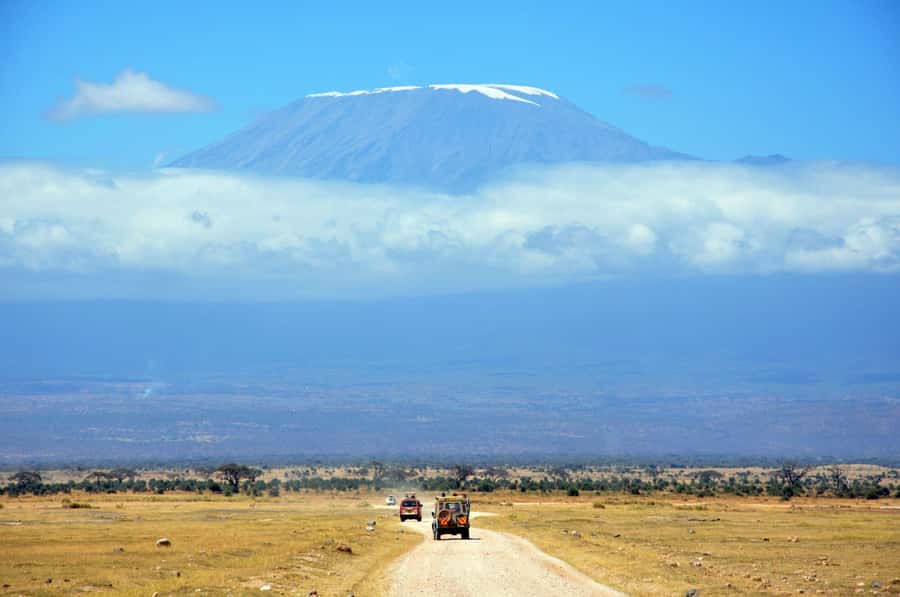 Kilimanjaro: Village Walk, Coffee Tour, Waterfall, and Lunch - Sizing up the experience: who should book it
