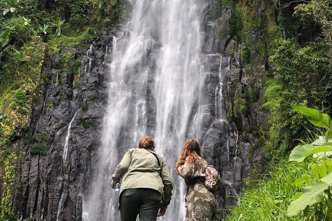 Kilimanjaro Waterfalls Hike & Moshi Hot Springs Day Trip Tour - Key Highlights You Should Actually Care About