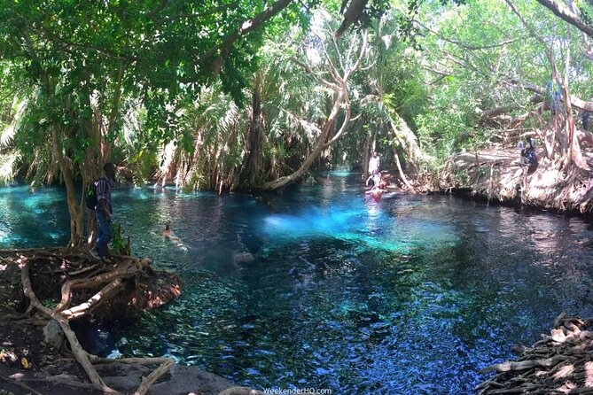 Kilimanjaro Waterfalls Hike & Moshi Hot Springs Day Trip Tour - Why This Kilimanjaro Waterfalls and Chemka Hot Springs Day Trip Works