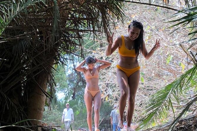 Kilimanjaro Waterfalls Hike & Moshi Hot Springs Day Trip Tour - Chemka Hot Springs Swim: Why the Ending Feels Like a Reward