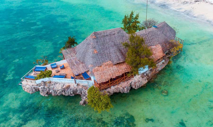 Kiwengwa/Zanzibar: Mnemba, Kuza Cave & Jozani Forest Tour - Mnemba Island dolphin search: what to expect on the boat