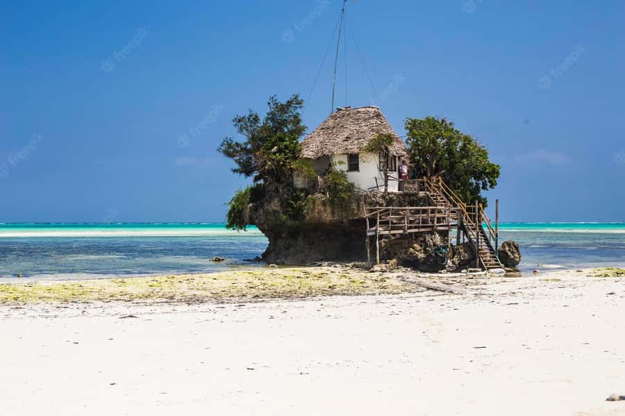 Kiwengwa/Zanzibar: Mnemba, Kuza Cave & Jozani Forest Tour - Kuza Cave: culture at the Cultural Centre of Zanzibar