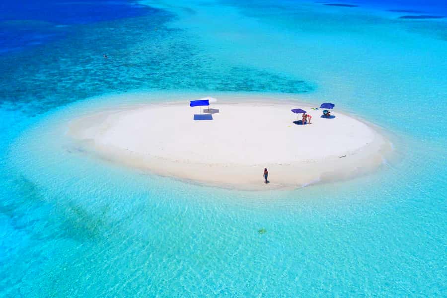Kiwengwa/Zanzibar: Mnemba, Kuza Cave & Jozani Forest Tour - What’s included versus what’s on you