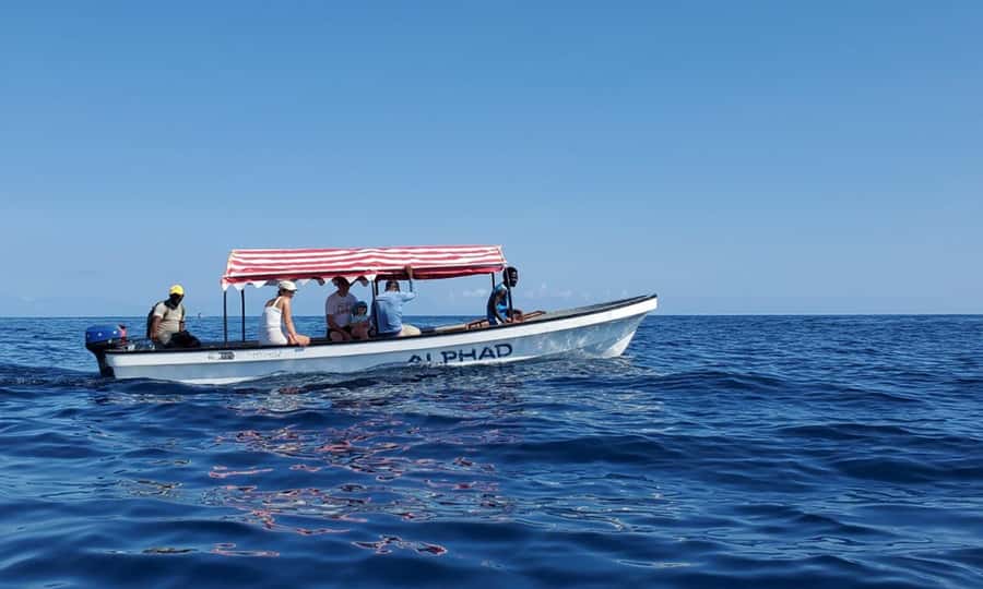 Kiwengwa/Zanzibar: Mnemba, Kuza Cave & Jozani Forest Tour - Price and logistics: is $135 good value?