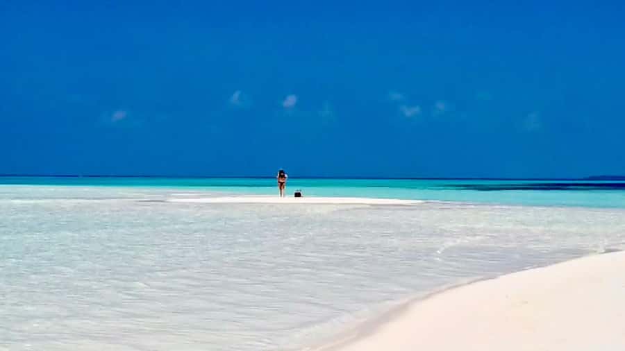 Kiwengwa/Zanzibar: Mnemba, Kuza Cave & Jozani Forest Tour - Languages, guide style, and comfort on a long day