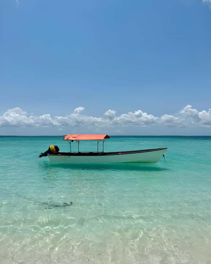 Kizimkazi: Pungume Island Snorkeling & Sandbank Tour - Seafood buffet lunch on the beach: the meal that makes it feel like a day