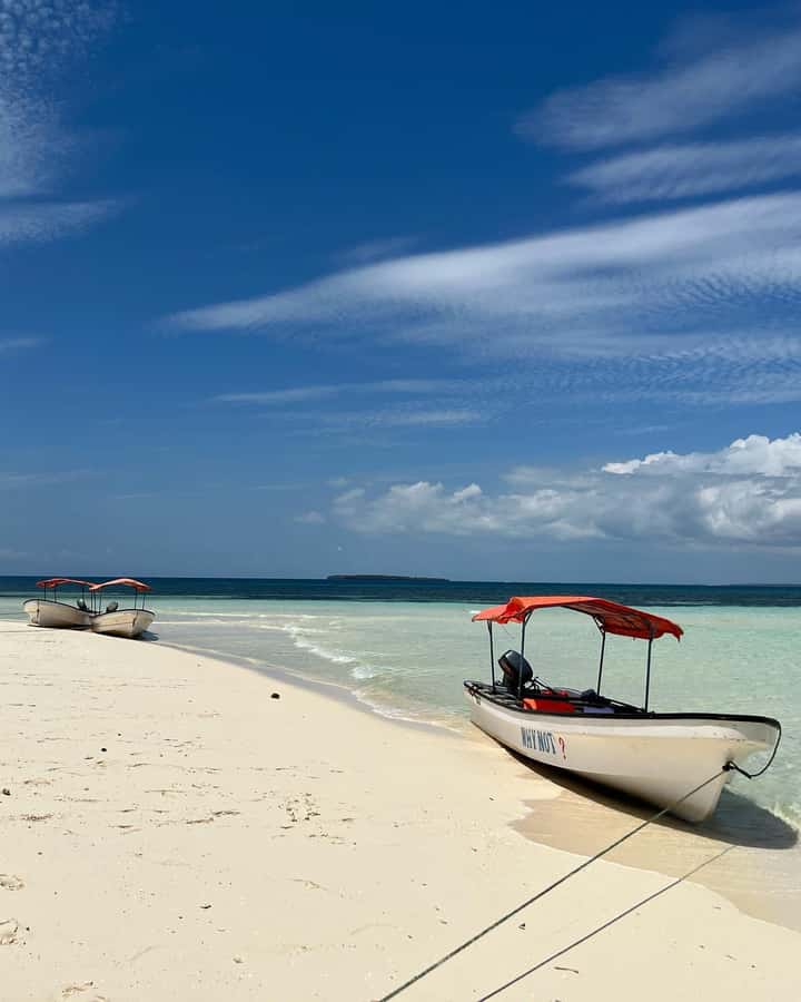 Kizimkazi: Pungume Island Snorkeling & Sandbank Tour - Price and value: what $100 per person really buys
