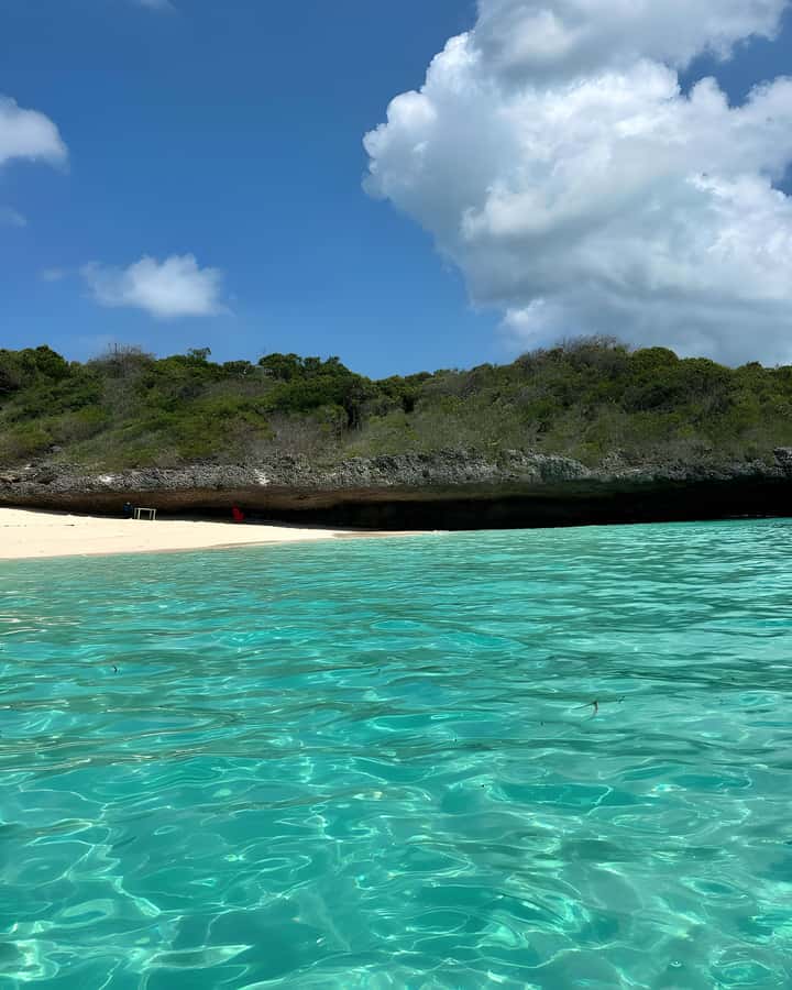 Kizimkazi: Pungume Island Snorkeling & Sandbank Tour - Comfort and safety: who should book and who should skip