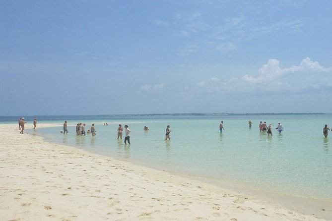 Kwale Island Dhow Sailing Tour from Zanzibar with Seafood Lunch - Menai Bay snorkeling with coral formations: what to expect