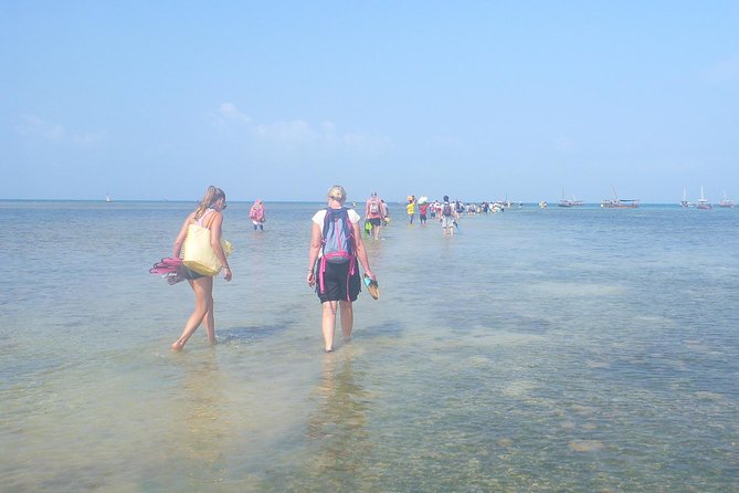 Kwale Island Dhow Sailing Tour from Zanzibar with Seafood Lunch - Price and what you truly get for $98