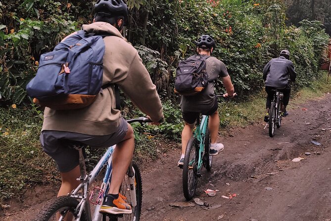 Lake duluti Canoeing/kayaking &/or cycling adventure with lunch - Pedaling Toward Mangalia: Village Roads and Coffee Farm Stops