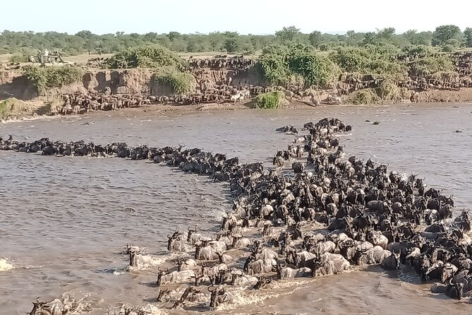 Latest Updates On The Top Best 3 day Serengeti Migration Safari - Value and what $770 buys you (and what it does not)