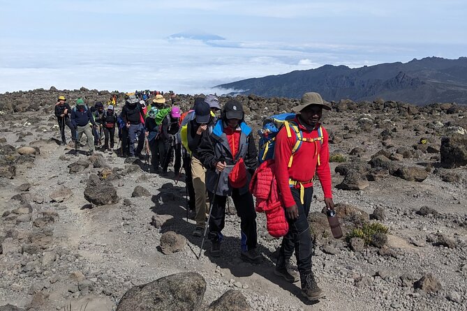 Lemosho Route 7 Days Trekking at Mount Kilimanjaro - Day 5: Barafu Camp at 4600m, the summit launchpad