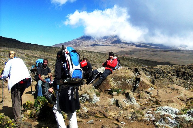 Lemosho Route 8 Days 7 Nights/Kilimanjaro Climb - Why the 8-Day Lemosho Schedule Works for Summit Day