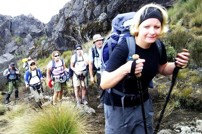 Lemosho Route 8 Days 7 Nights/Kilimanjaro Climb - Rainforest Footing to the Shira Plateau Rim (Days 1 to 2)