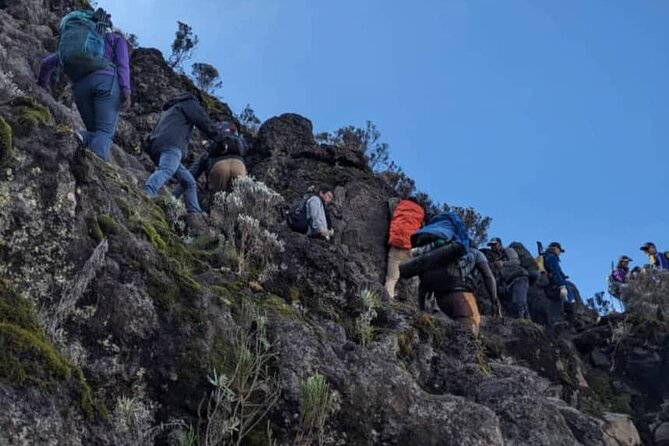 Lemosho Route 8 Days Kilimanjaro Climbing Tour - Summit night, what to expect and how to stay steady