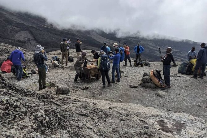 Lemosho Route 8 Days Kilimanjaro Climbing Tour - Who should book this 8-day Lemosho Kilimanjaro climb