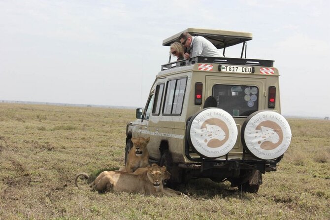 Living Among Lions - Key highlights worth packing for