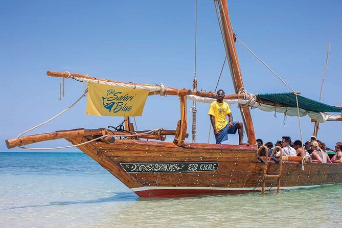 Luxury Swimming with DOLPHINS IN MNEMBA and LUNCH - Mnemba Island dolphin swimming, and why it works as a trip