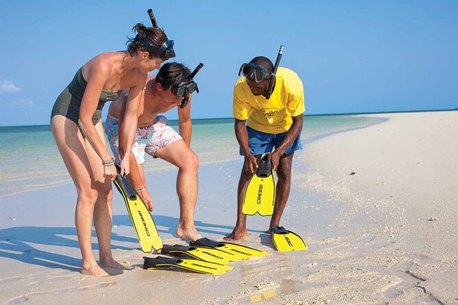 Luxury Swimming with DOLPHINS IN MNEMBA and LUNCH - Pickup in Zanzibar City: the small detail that changes your stress level