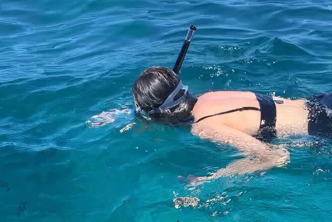 Luxury Swimming with DOLPHINS IN MNEMBA and LUNCH - Price and value: what $130 covers in real terms