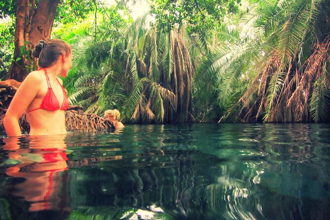 Maasai village visit and chemka hot-springs with hot lunch - Chemka and Kikuletwa Hot Springs: Why the Swim Time Matters