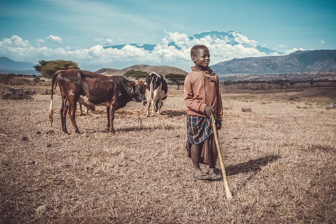 Maasai village visit and chemka hot-springs with hot lunch - Should You Book This Maasai Village and Chemka Hot Springs Tour?