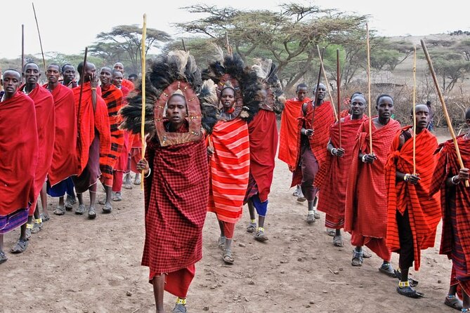 Maasai village visit, Materuni waterfalls & coffee experience - Price and value: what $154 covers on a private, full-day schedule