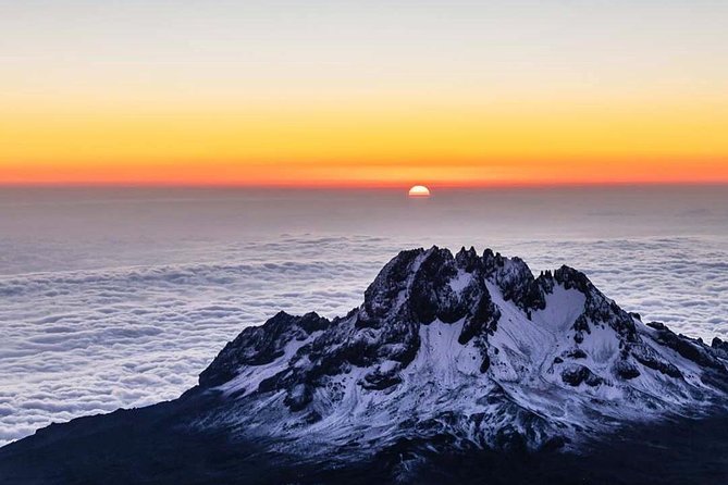 Machame 7 days Kilimanjaro climb - Moshi pickup, 8:00am start, and how to set yourself up for a smooth day 1