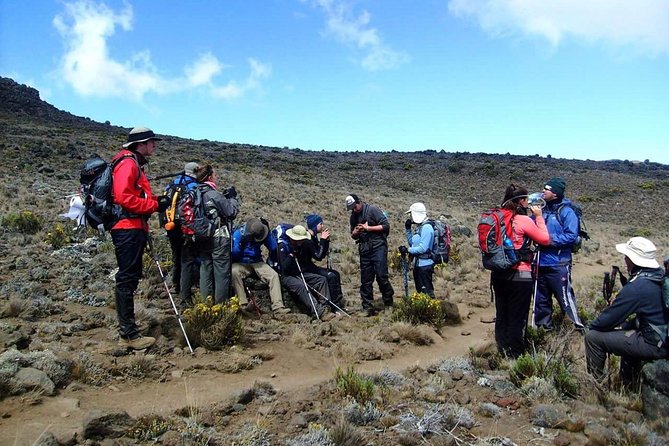 Machame Route 6 days 5 Nights/Kilimanjaro Climb - Moshi start, pickup, and the pace of a private trek