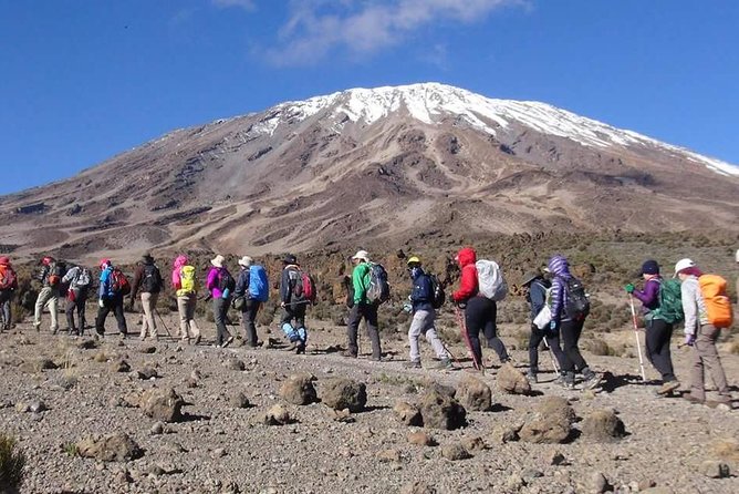Machame Route 6 days 5 Nights/Kilimanjaro Climb - Day 5: Midnight ascent, Stella Point sunrise, and Uhuru Peak