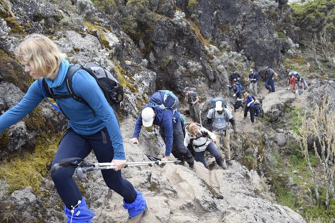 Machame Route 6 days 5 Nights/Kilimanjaro Climb - Day 1: Rainforest ridges and Machame Camp, where mud tests you
