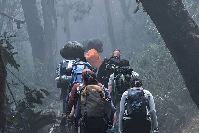 Machame Route 7-Day Private Kilimanjaro Trek - Moshi start to Machame Gate: what the first day actually feels like