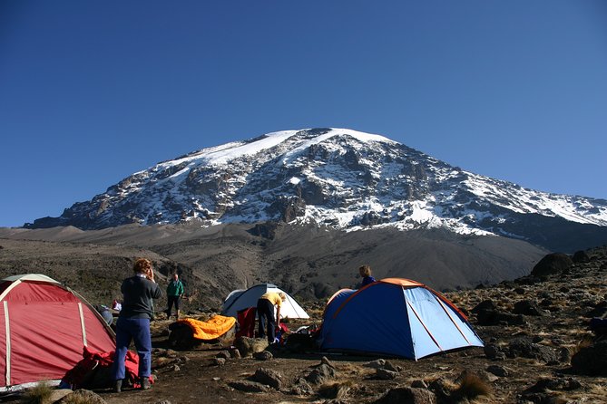 Machame Route 7 Days 6 Nights /Kilimanjaro Climb - Key Highlights You Actually Feel On The Trail