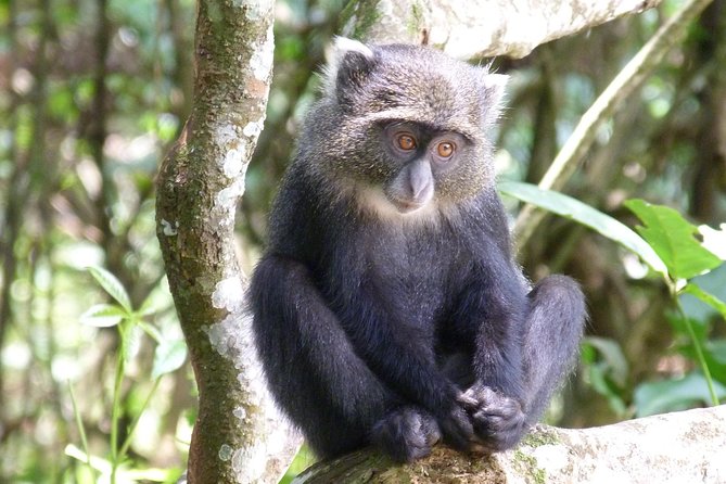 Manyara and Ngorongoro Crater - Day 1 Evening: Dinner, Breakfast, and a Good Night’s Reset