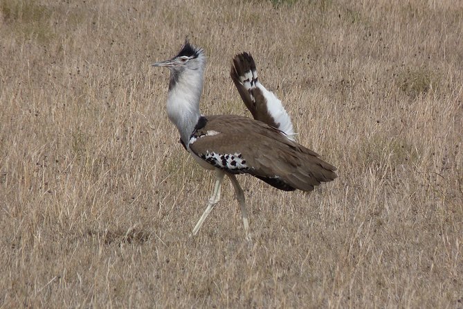 Manyara and Ngorongoro Crater - Guides, Pace, and a Small Group That Feels Manageable