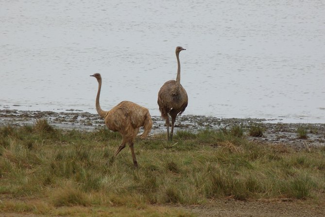 Manyara and Ngorongoro Crater - What to Bring for Comfort on Two 8-Hour Days