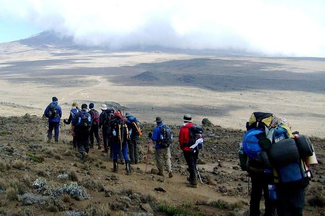 Marangu Route 6 Days 5 Nights/Kilimanjaro Climb - Why the Marangu Route makes the steady choice for Uhuru Peak
