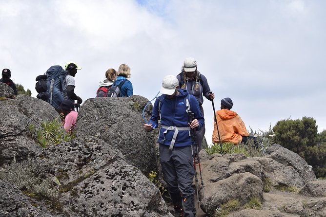Marangu Route 6 Days 5 Nights/Kilimanjaro Climb - Day 3: Acclimatization at Horombo, Zebra Rocks at 4,020m