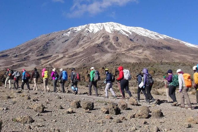 Marangu Route 6 Days 5 Nights/Kilimanjaro Climb - Day 1: Moshi to Mandara Hut through rainforest and Maundi Crater views