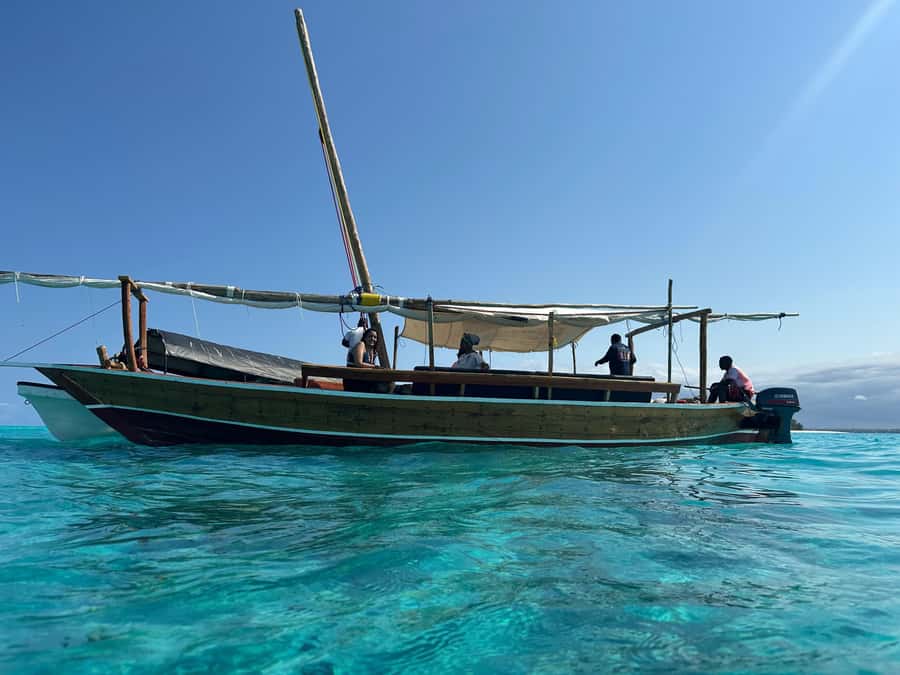 Matemwe: Mnemba Island Dolphin & Snorkeling Boat Trip - Key highlights worth your time