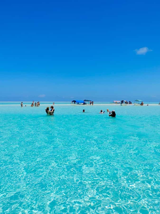 Matemwe: Mnemba Island Dolphin & Snorkeling Boat Trip - Meeting point and timing, so you do not rush your day