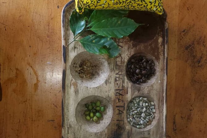 Materuni (Coffee Tour) and Chemka (Kikuletwa Tour) - Chemka, also called Kikuletwa: cultural time and forest trails