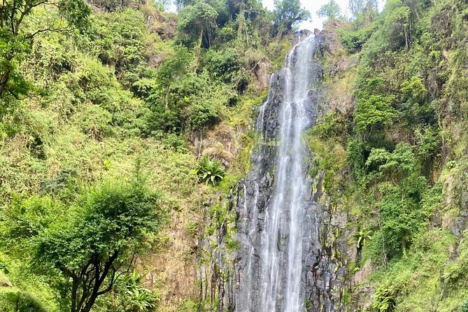 Materuni (Coffee Tour) and Chemka (Kikuletwa Tour) - Who should book, and who might rethink it