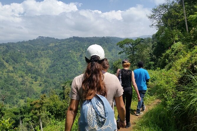 Materuni Thundering Waterfalls,Coffee Experience with Moshi Town Tour - Key highlights you should know before you go