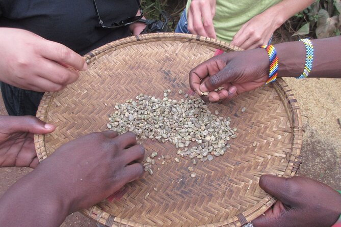 Materuni Thundering Waterfalls,Coffee Experience with Moshi Town Tour - Where this tour really shines: Materuni plus real coffee work