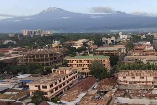 Materuni Thundering Waterfalls,Coffee Experience with Moshi Town Tour - Moshi town tour: multicultural coexisting, then the rooftop view finish