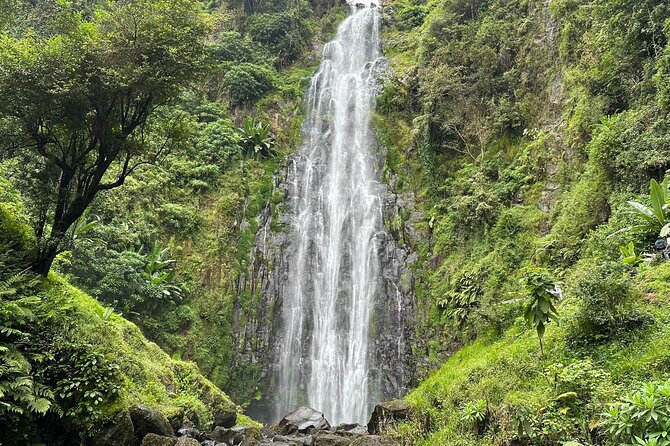 Materuni Waterfall and Coffee Plantation Half Day Tour - Key highlights at a glance